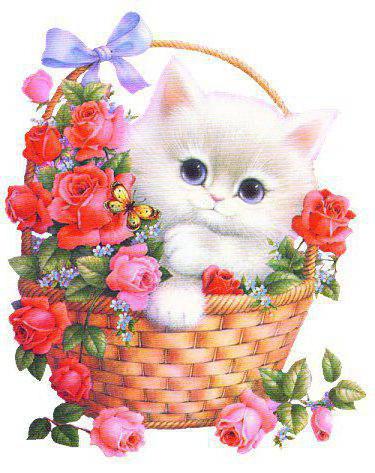 Cross Stitch Cat ♥ 2/5 | Cross stitch animals, Cross stitch flowers, Cross stitch rose